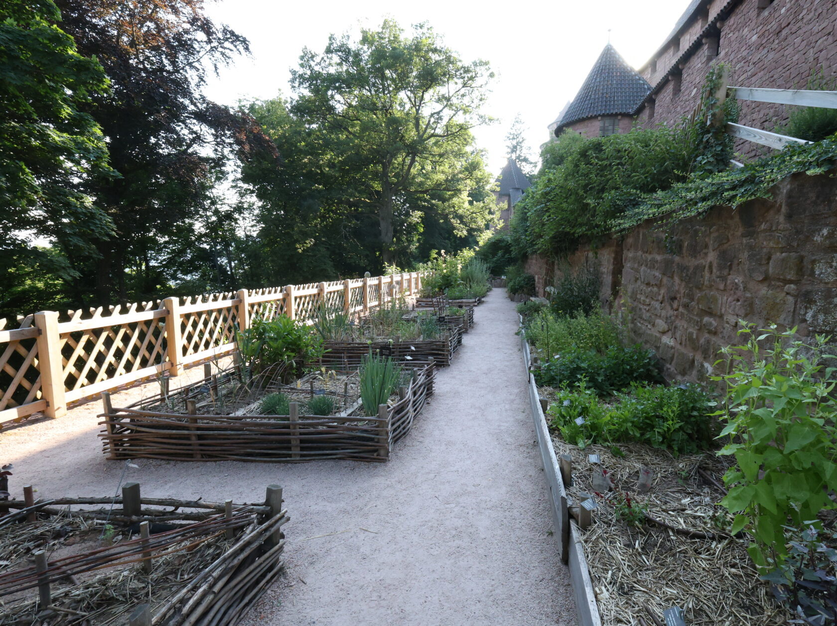 Les jardins médiévaux du Haut-Koenigsbourg