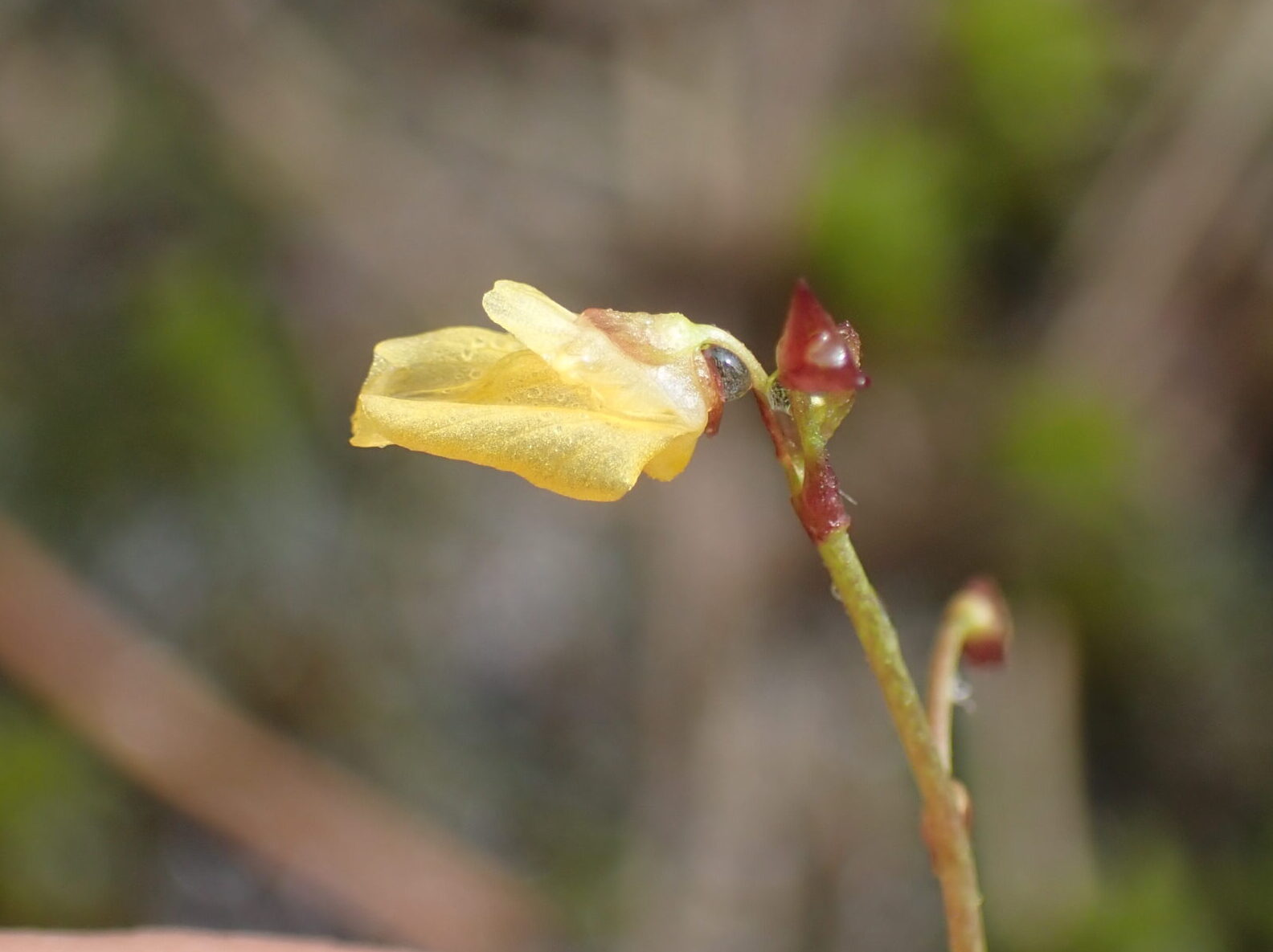 Nouveaux documents en ligne