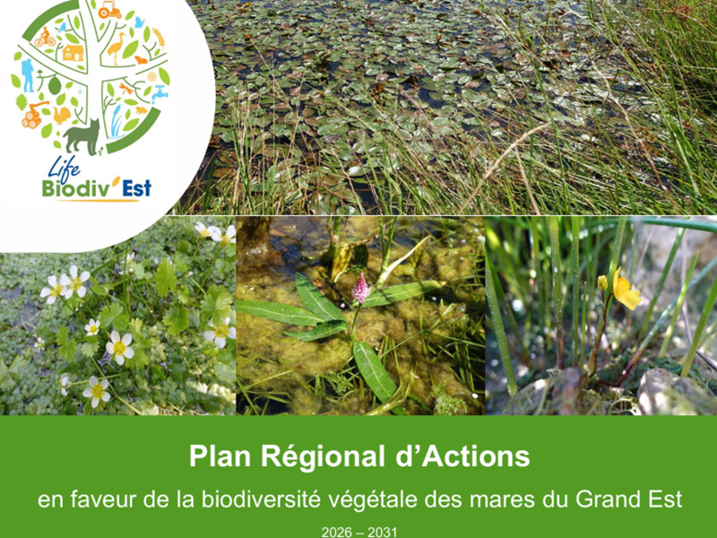 Publication du PRA « Biodiversité végétale des mares »